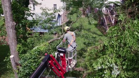 Drone footage of the operator cutting limbs from the lift basket