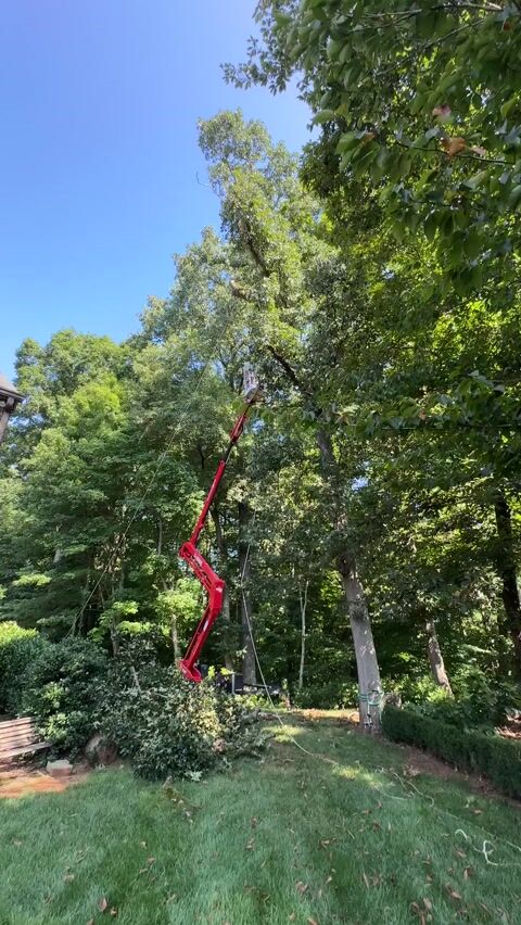 Carl up in the track lift, removing an oak tree limb. Note the rigging points to safely remove the limbs from the tree.