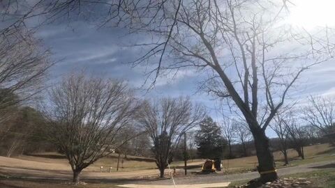 GoPro footage of the bare trees in the open yard, the machine staged at the edge of the work area