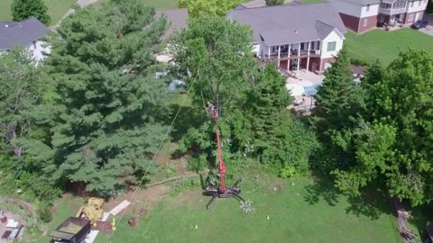 Drone footage of the lift boom extended into a tall conifer, chipper and truck staged below