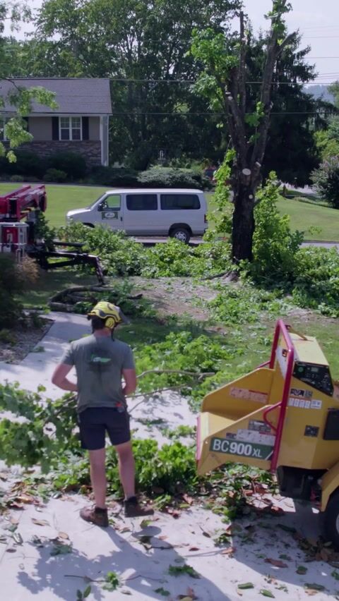 Feeding the wood chipper in slow mo